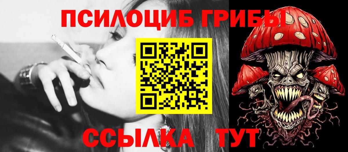 Псилоцибиновые грибы Psilocybe  Псилоцибиновые грибы мицелий  Химки  Вход с VPN 