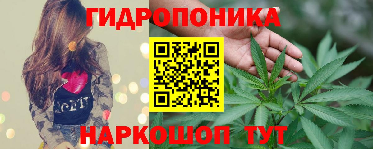 Канабис гибрид  Канабис THC 21%  Конопля семена  Химки  Вход с VPN  Каннабис план 